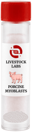 Porcine Myoblasts