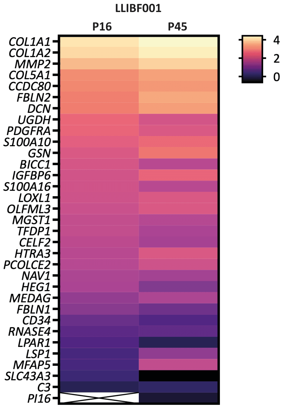 Heatmap of fibroblast-associated gene expression (CPM, log 10) at passages 16 and 45