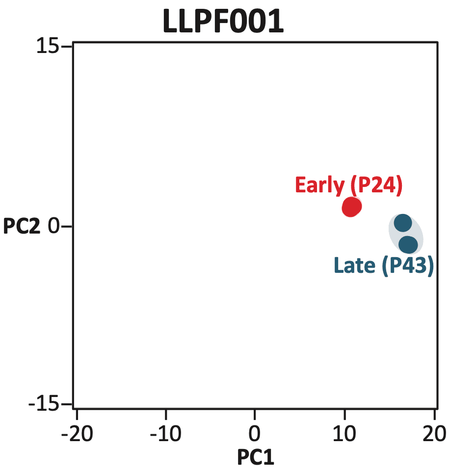 Transcriptome PCA plot of LLPF001 showing early passage (P24) and late passage (P43) samples